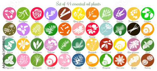 Big set of 44 flat essential oil labels. White Silhouettes