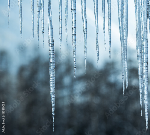 Background of bright transparent icicles.