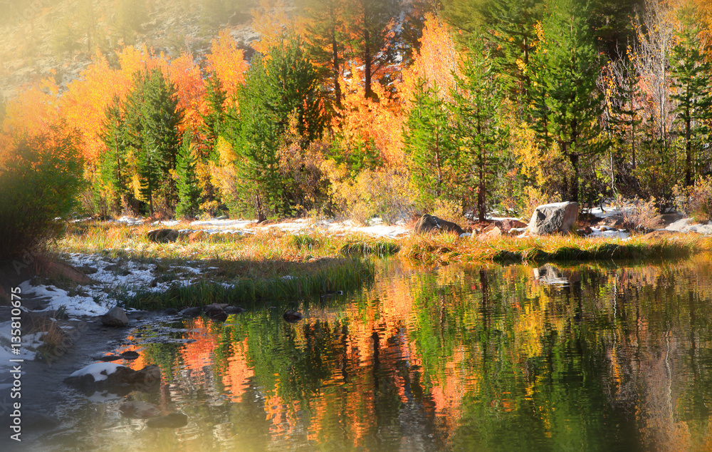 Autumn trees in Sierra Nevada mountains, California Autumn trees in Sierra Nevada mountains, California