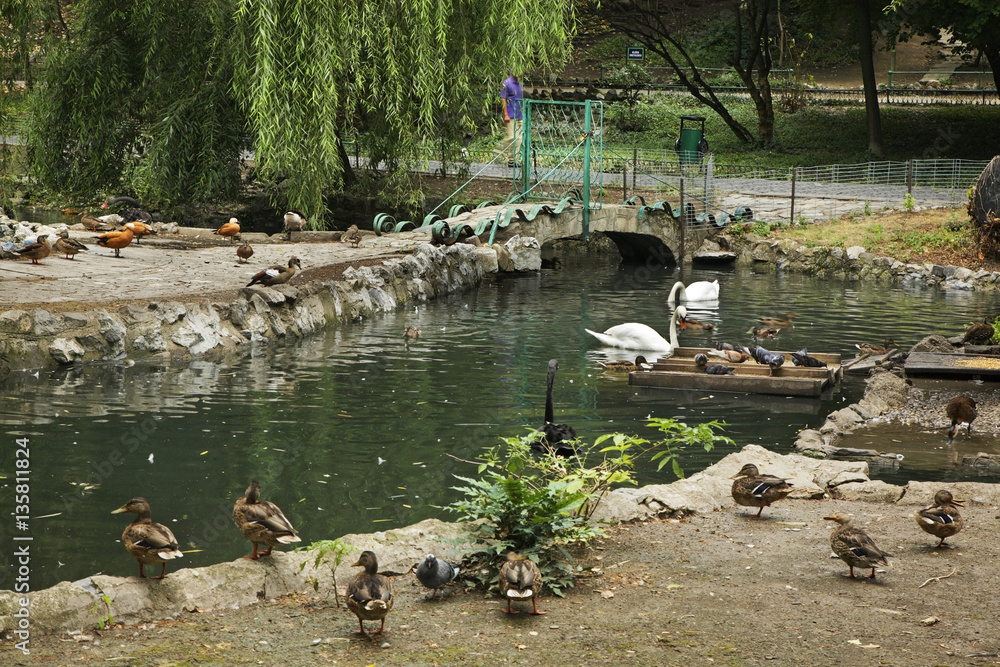 Cismigiu gardens in Bucharest. Romania StockFoto Adobe Stock