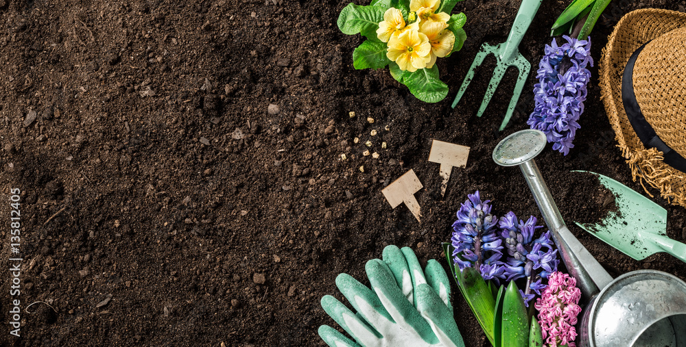 Spring garden works. Gardening tools and flowers on soil. - obrazy, fototapety, plakaty 
