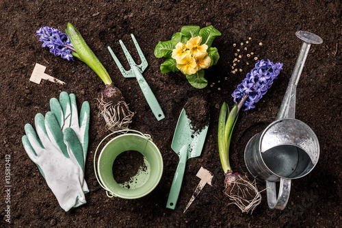 Fototapeta Naklejka Na Ścianę i Meble -  Spring garden works. Gardening tools and flowers on soil.