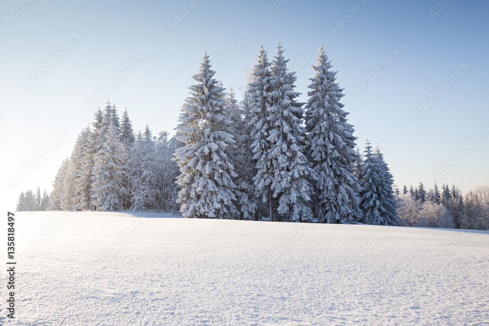 Naklejka premium Sunny winter landscape in the mountains