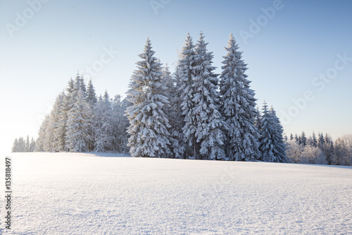 Sunny winter landscape in the mountains