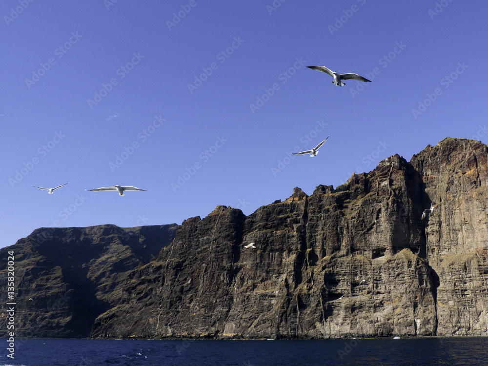 Fototapeta premium unwind in tenerife