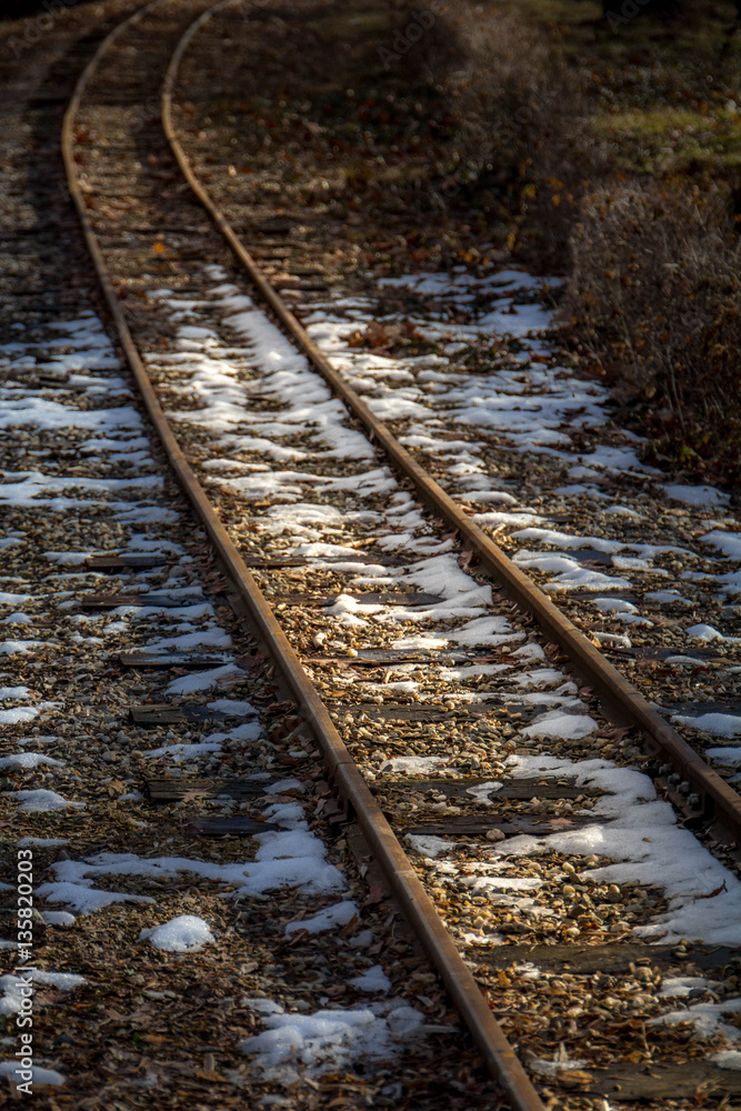 Fototapeta premium Snowy Railroad