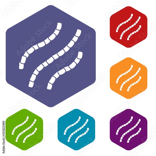 Escherichia coli icons set