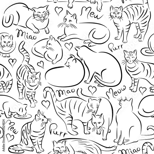 Cat Pattern