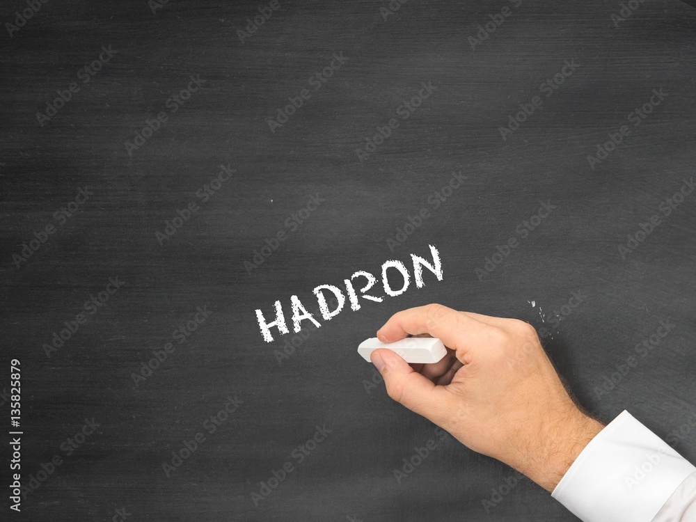 Hadron Hadron