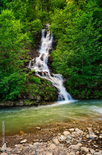 waterfall comes out of a hillside in forest