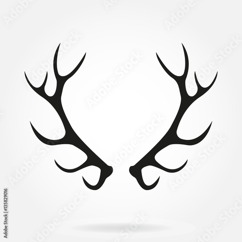 Fényképezés Deer antlers