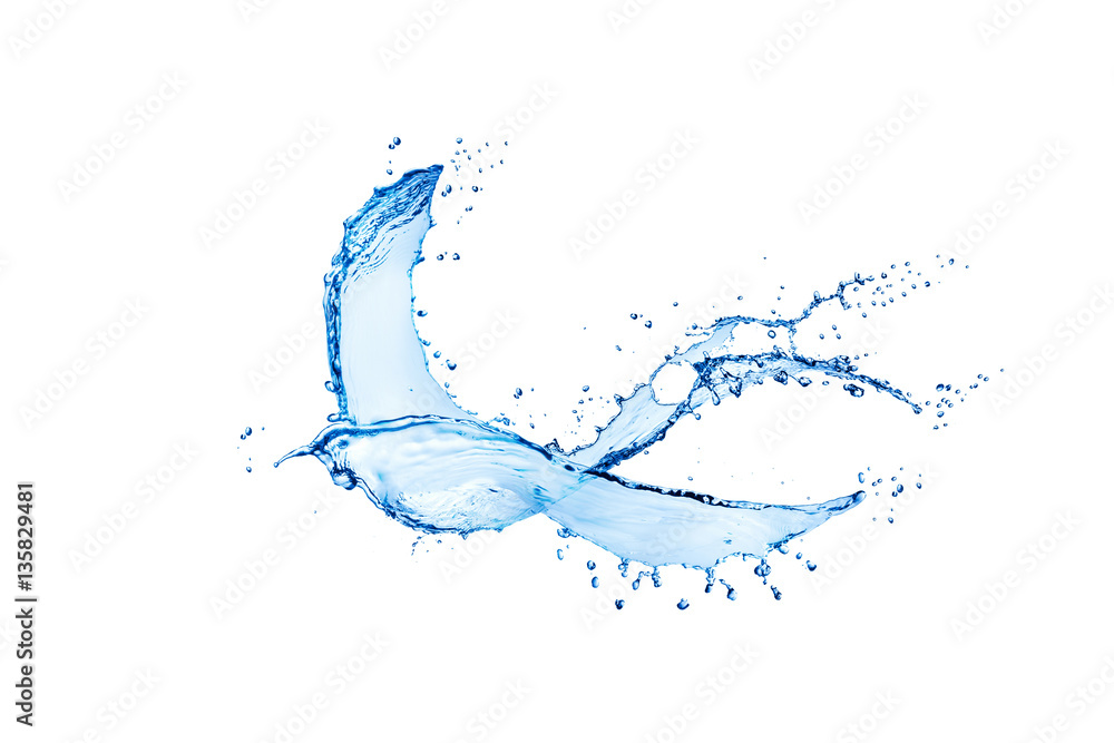 Obraz premium Ptak z rozpryskami wody na białym tle