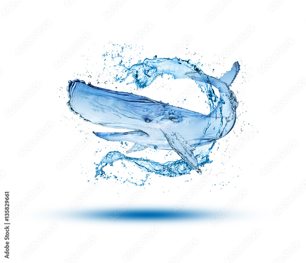 Obraz premium Whale water splash make from water isolate on white background.