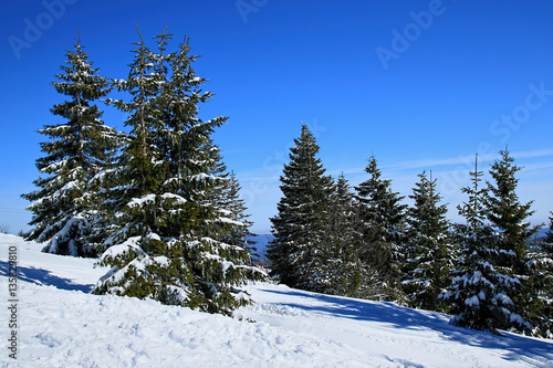Winter on the Feldberg in the Black Forest
