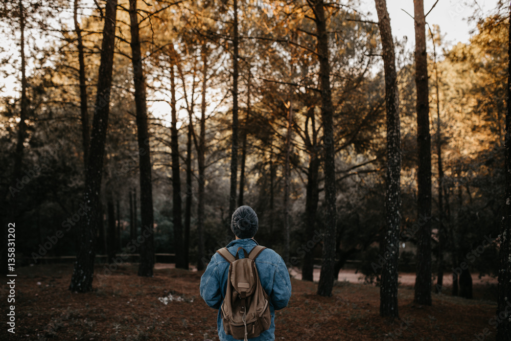 A backpacker in the woods A backpacker in the woods