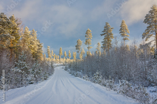 Snow covered norwegian road and forest