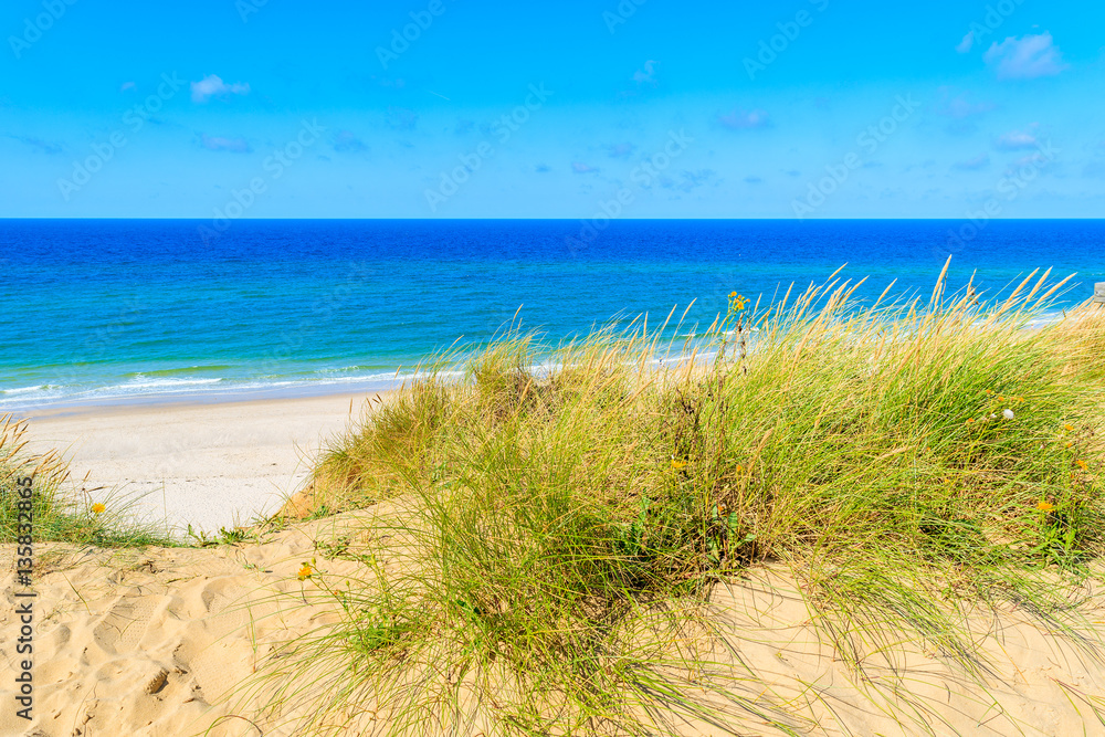 Grass dune overlooking beautiful Kampen beach, Sylt island, Germany