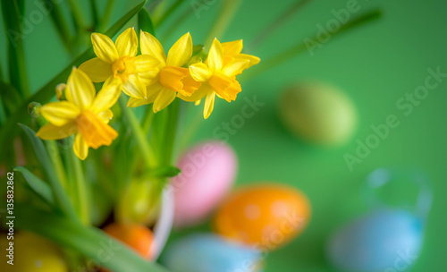 Easter Background  Osterglocken  