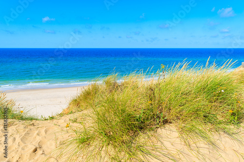 Grass dune overlooking beautiful Kampen beach  Sylt island  Germany