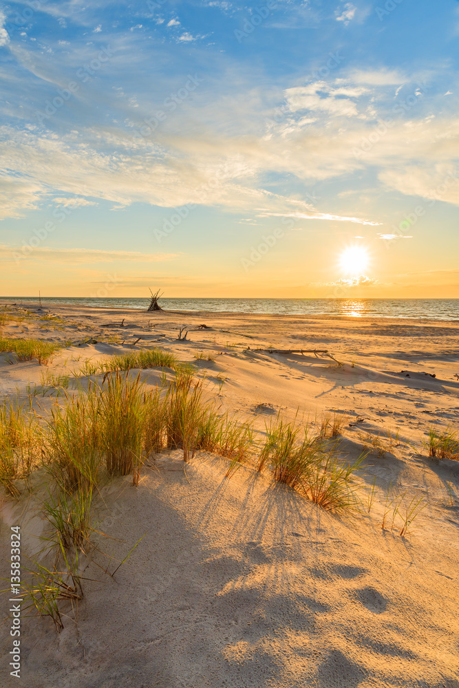 Grass on sand dune and sunset over Leba beach, Baltic Sea, Poland - obrazy, fototapety, plakaty 