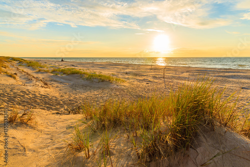 Grass on sand dune at sunset time, Leba beach, Baltic Sea, Poland
