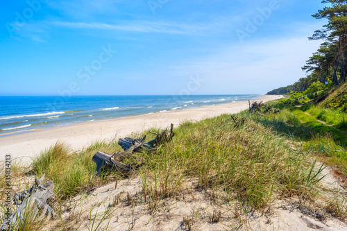 Green grass and dry tree trunks sand dune on coast of Baltic Sea on Lubiatowo beach, Poland