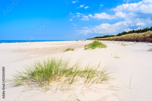 Green grass on white sand beach in Lubiatowo  Baltic Sea  Poland