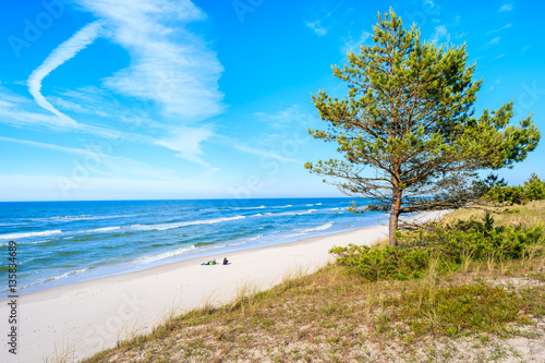Sand dune with green tree and view of sandy Bialogora beach  Baltic Sea  Poland