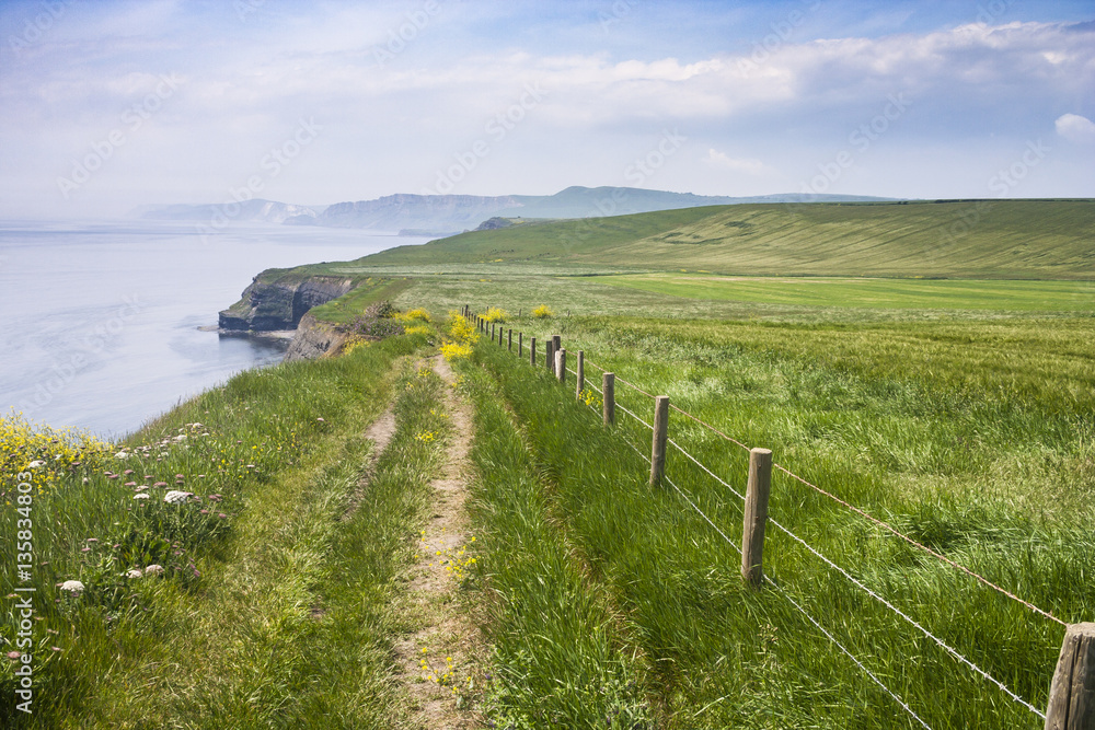 South West Coast Path in Dorset, UK.
