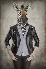 Fototapete Hipster Tiere Zebra in Kleidung Vintage Stil  © cranach