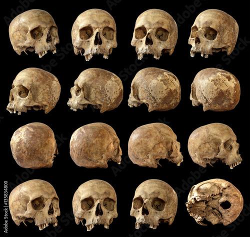 Skull set on isolated black background. View around.