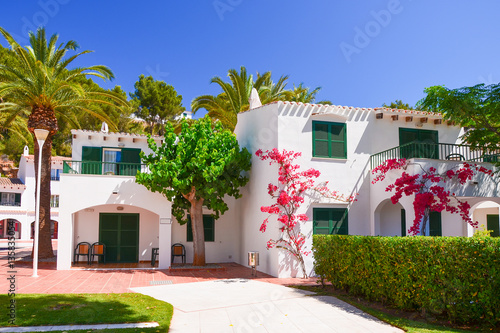 Holiday villas and palm trees in Cala Galdana village, Menorca island, Spain photo