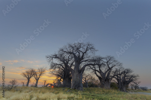 Sunrise at Baines Baobab