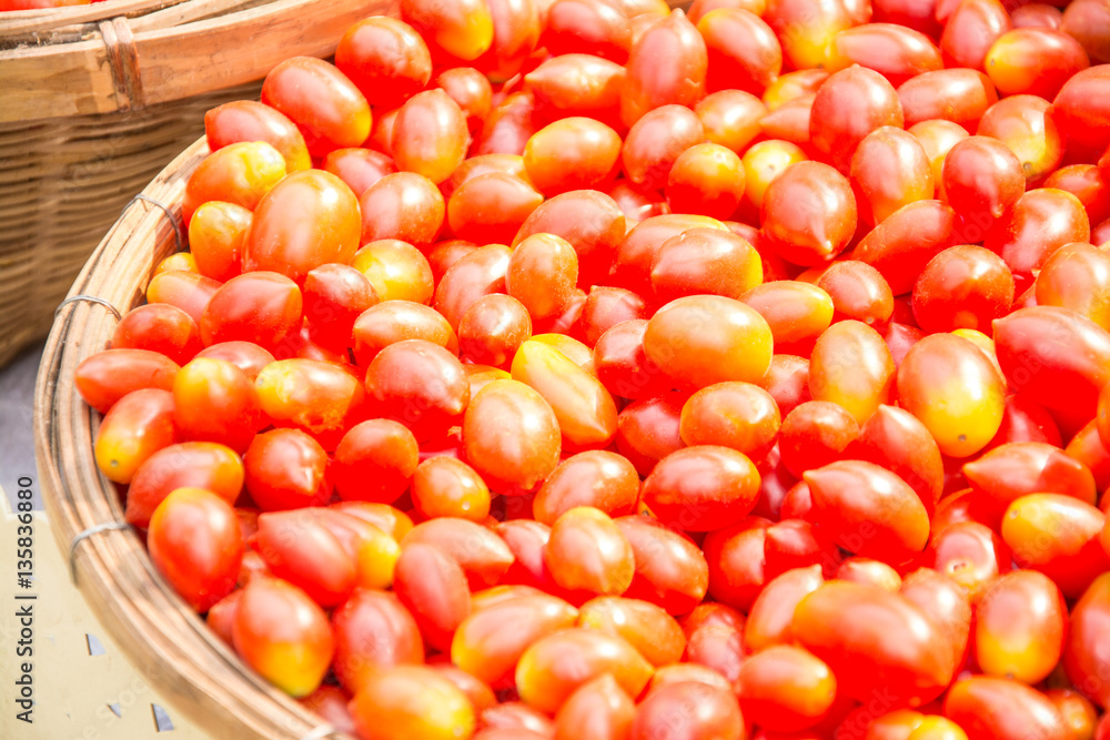 red tomatoes background. Group of tomatoes red tomatoes background. Group of tomatoes