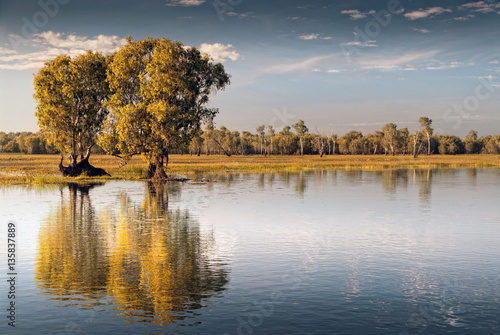 Reflections on the still waters at Kakadu, Australia photo