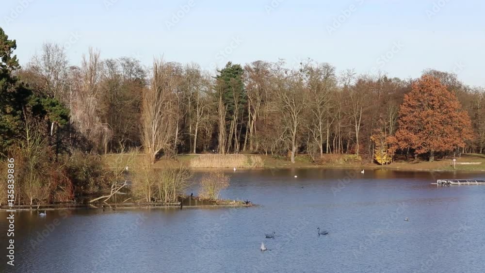 Kölner Stadtwald, Kalscheurer Weiher, Deutschland, Herbst; Cologne city forest, pond, germany, autumn Kölner Stadtwald, Kalscheurer Weiher, Deutschland, Herbst; Cologne city forest, pond, germany, autumn