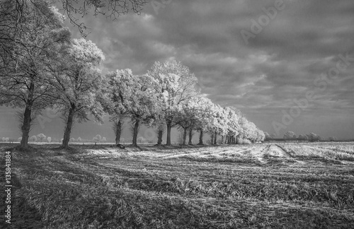 landschap nederland photo