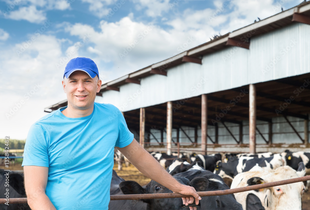 Farmer portrait against background of farm cows