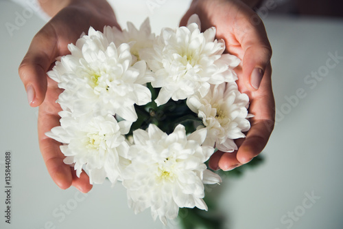 белые хризантемы в руках у девушки