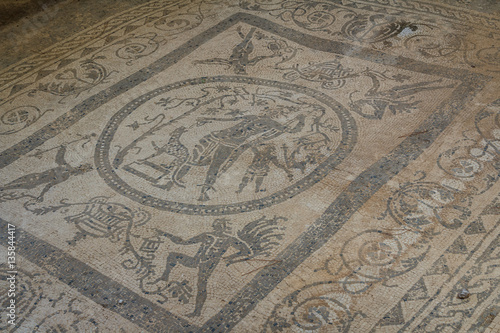 Mosaic in the ruins of the ancient city of Tindari  Tindarys   S