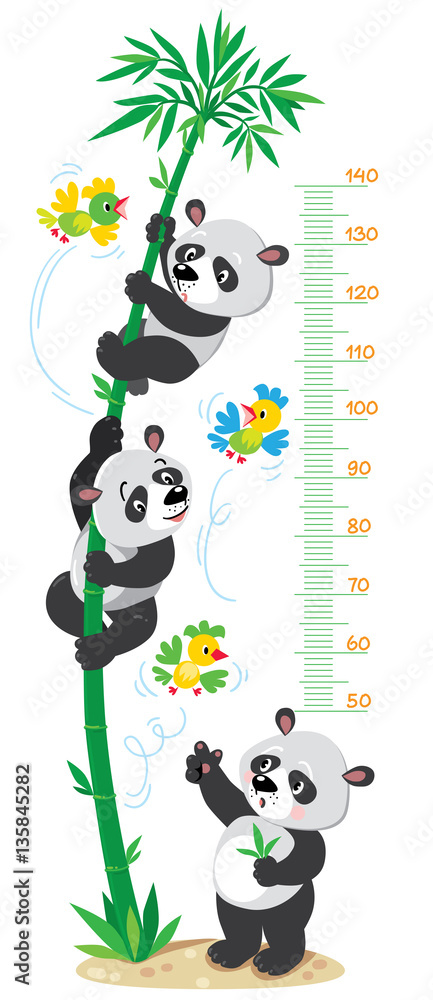 Obraz premium Meter wall with bamboo tree and funny pandas