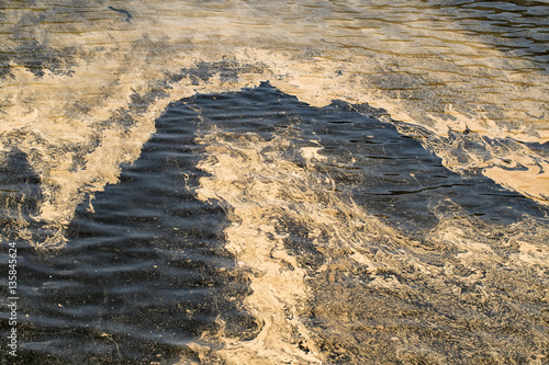 pollen on the water. pollen in large quantities on the surface of the water  sad zrelitse. Spring flowering