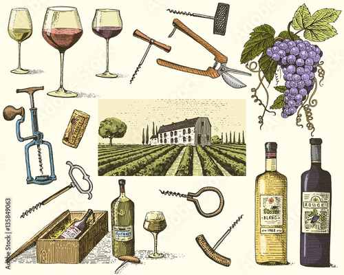 wine harvest products, press, grapes, vineyards corkscrews glasses bottles in vintage style, engraved hand drawn