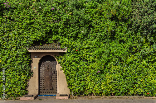 green wall and door in a street of marrakech