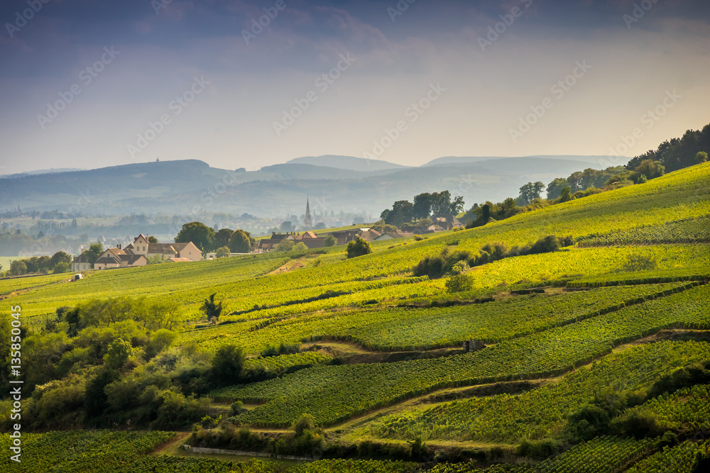 climats de Bourgogne