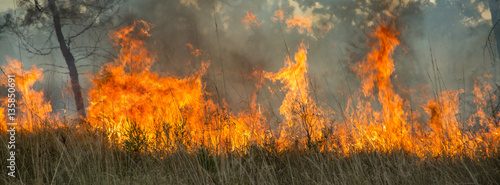 Bushfire in the Kimberley region, Western Australia