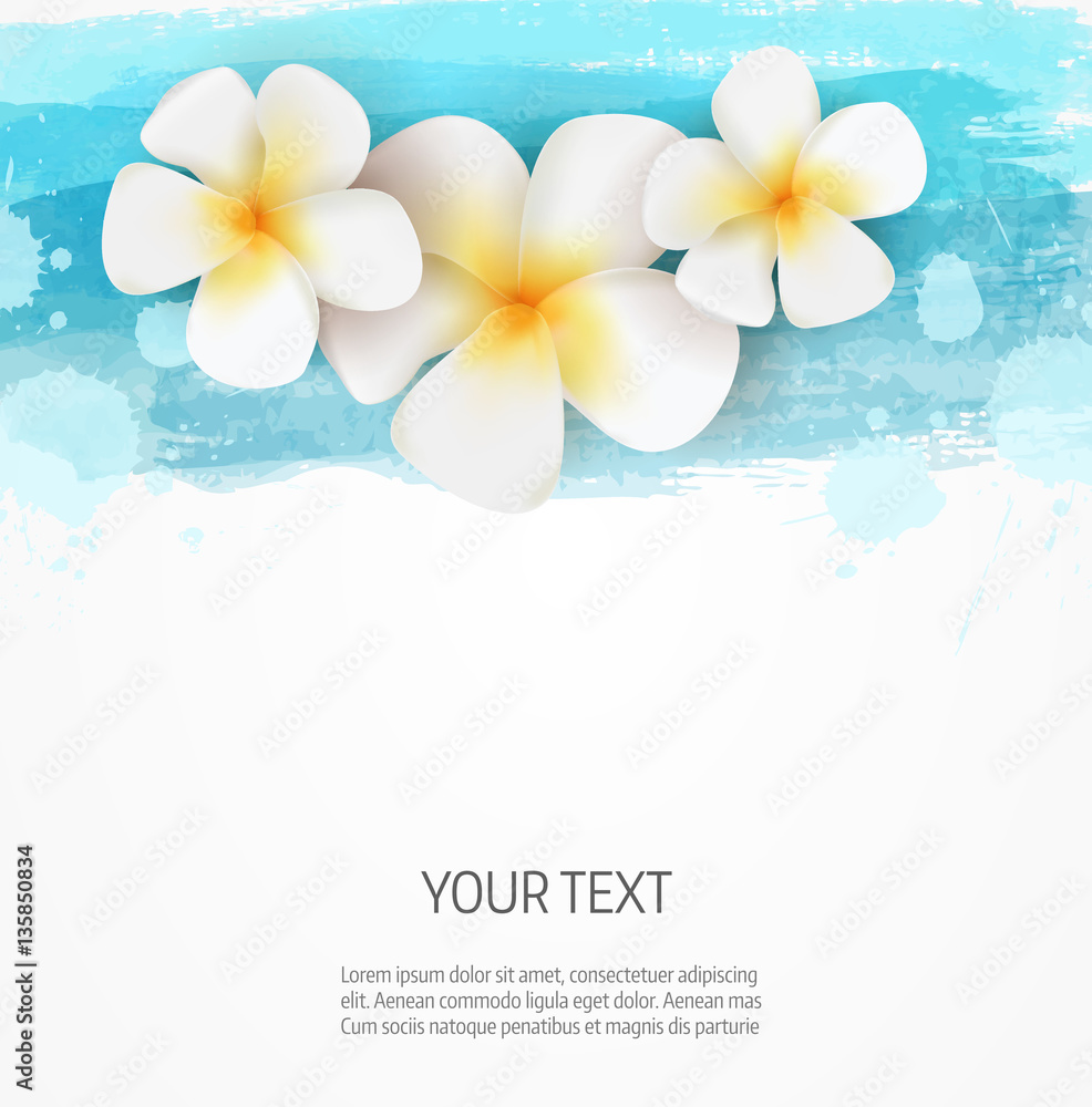 Watercolor lines and frangipani flowers background template