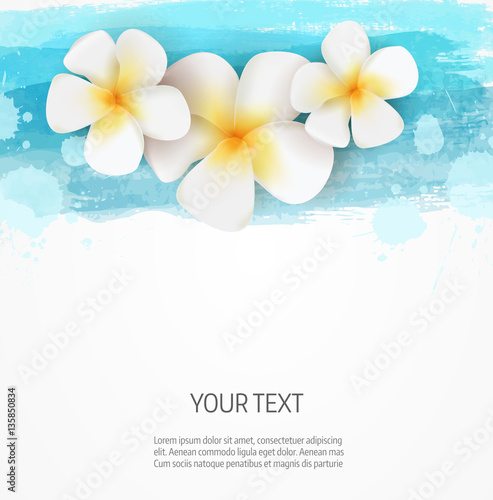 Watercolor lines and frangipani flowers background template