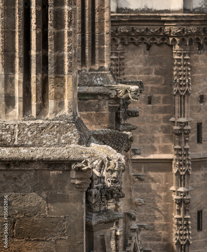 Gargoyle, Seville Cathedral, 2016