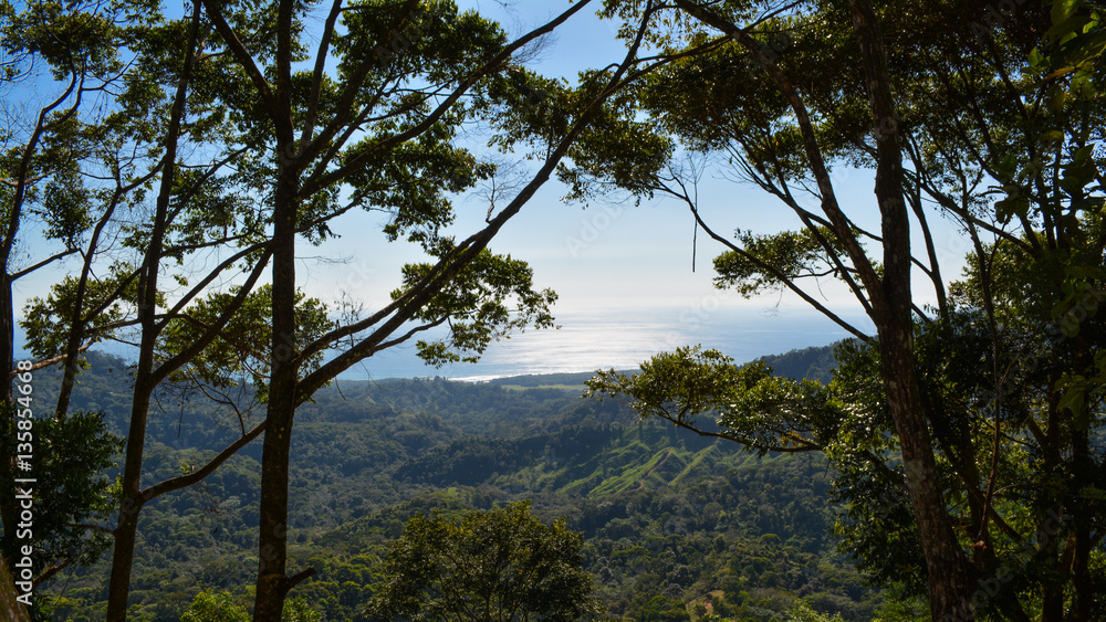 Pacific View Pacific View